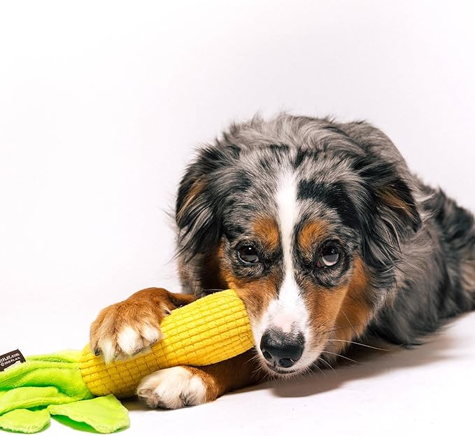 P.L.A.Y. Cute Plush Dog Toys - Vegetable Themed Durable Squeaker Crinkle Plush Chew Toy, Great for Puppies & Small, Medium, Large Dogs - Machine Washable, Recycled Materials (Farm Fresh Corn)