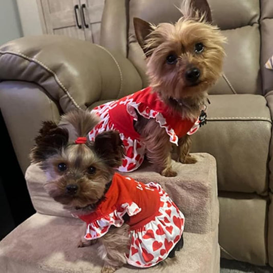 XPUDAC 4 Pack Dog Dress Girl Clothes for Small Dogs Girl Flower Puppy Dresses for Dogs Apparel Colorful Small Dog Clothes Female (XS, 4 Flower)