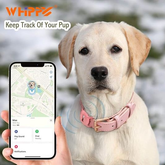 WHIPPY Airtag Leather Dog Collar GPS Tracker Air Tag Puppy Collar Adjustable Soft Leather Padded Dog Collar with Airtag Holder Case for Small Medium Large Dog Pet Backpack,Pink,M