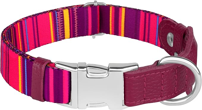 AirTag Dog Collar for Small Medium Large Breed - Adjustable Cute Pattern Dog Collar with Airtag Holder - Soft Leather Tracker GPS Apple Air Tag Pet Collars (Small, 12"-15" Neck Fit, Striped)