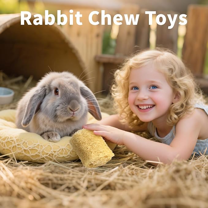BESNEW Rabbit Chew Toys,100% Natural Loofah Without Additives,Bunny Chew Toys for Teeth,Fiber-Rich Rabbit Treats for Bunny Chinchilla Dogs