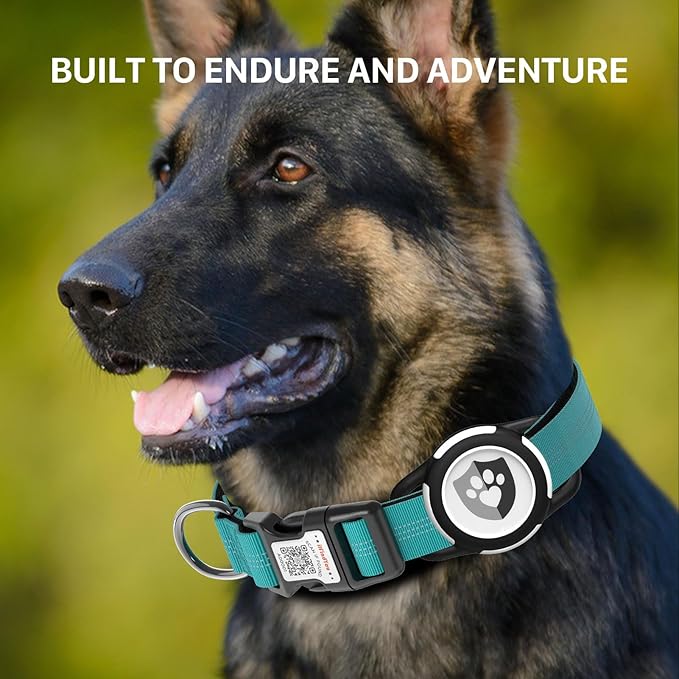 Reflective Dog Collar with AirTag Holder for Puppy Soft Nylon Blue Sized XS
