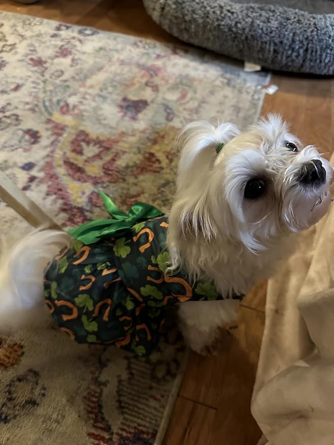 St. Patrick's Day Dog Costume Dress S, Green Shamrock and Horseshoe Print with Satin Bow, Pet Outfit for 6-7 lbs Dogs and Cats, Festive Holiday Apparel