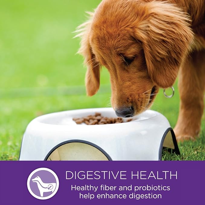 Wellness Complete Health Small Breed Puppy Dry Dog Food, Wholesome Grain Kibble, Natural, Turkey, Oatmeal, and Salmon Recipe, 4 lb Bag