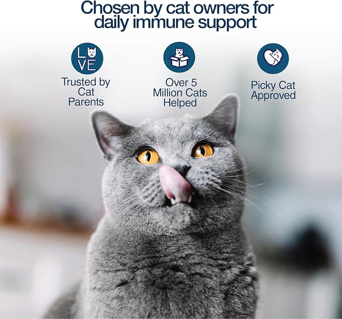 Felisyl L-Lysine Gel for Cats & Kittens (5oz) – Immune System, Respiratory & Eye Health Support. Reduces Sneezing, Runny Nose & Watery Eyes. Daily Salmon-Flavor Supplement – Made in USA (2 Pack)