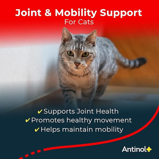 Antinol Plus, Mobility, Hip, and Joint Supplement for Cats, Green-Lipped Mussels and Krill Oil - Cat Joint Supplement, 30 Soft Gels