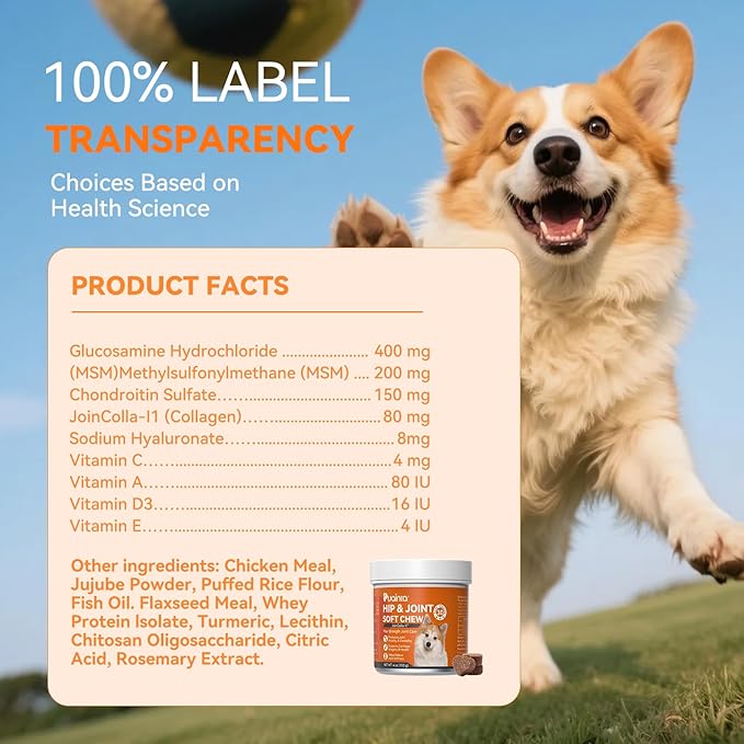 PUAINTA Hip & Joint Soft Chews for Dogs & Cats – Glucosamine, Chondroitin, Collagen & MSM for Joint Support, Mobility & Flexibility, Senior & Small/Medium Breeds, Chicken Flavor (30 Count)