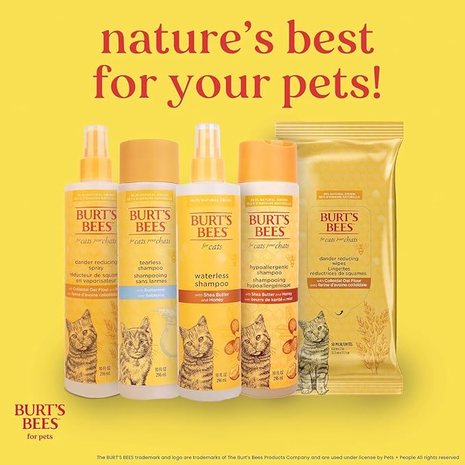 Burt's Bees for Pets Tearless Kitten Shampoo with Buttermilk and Honey, Gentle Cat Shampoo for Itchy Skin and Sensitive Coats, Easy Rinse Low Lather Formula, 99.3% Natural Origin, 10 Fl Oz - 2 Pack