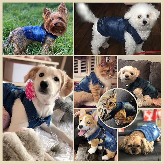 Cool Dog Jean Jacket Small Puppy Outfits Frenchie Clothes Denim Coats for Small Medium Dogs Cats Boys Girls Pet Vest Dog Shirt Clothing Doggy Costume (Blue, L(Suggest 9-12 lbs))