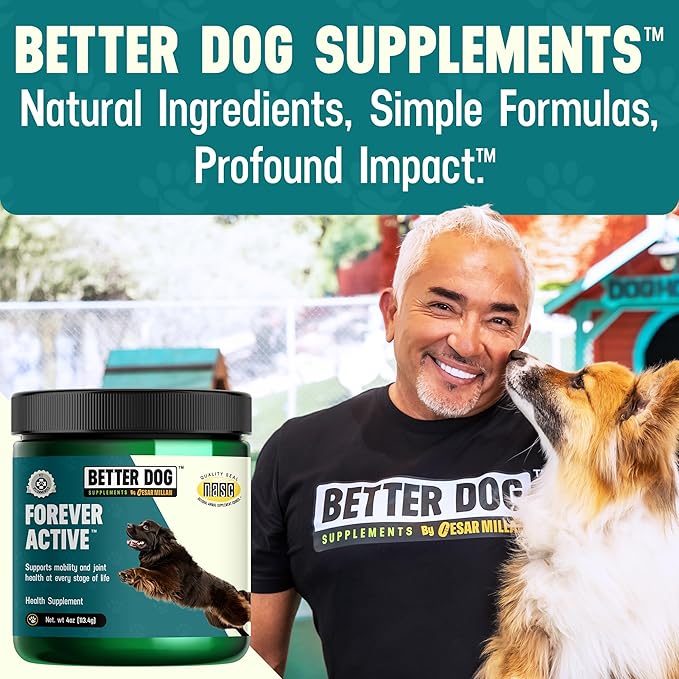 Better Dog Supplements Forever Active by Cesar Millan โ Natural Dog Hip & Joint Care for Mobility, Flexibility & Comfort โ Herbal Blend Dog Joint Supplement Powder โ 4oz (60-Day Supply)