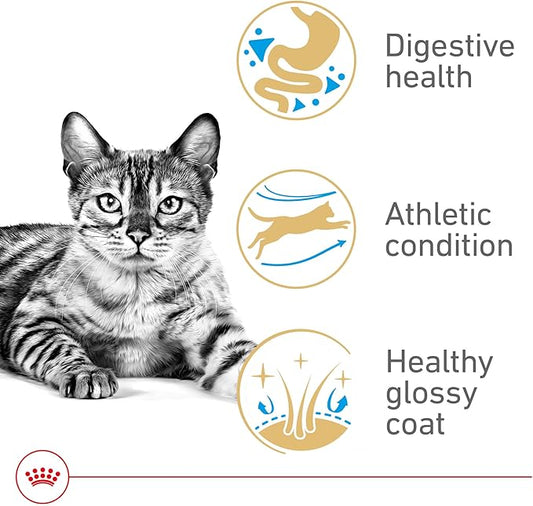 Royal Canin Feline Breed Nutrition Bengal Adult Dry Cat Food, 7 lb Bag