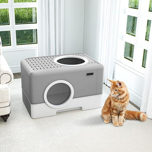 DWVO Enclosed Cat Litter Box with Two-Way Entry/Exit, Large Hooded Anti-Splash Cat Toilet with Lid, Hidden Litter Scoop - Gray