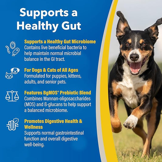 Doc Roy’s GI Synbiotics Probiotic & Prebiotic Supplemental Gel for Dogs & Cats, Digestive & Immune Health Supplement with Live Cultures, BgMOS & Beta Glucans, Chicken Flavor, 15ml Oral Gel
