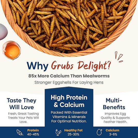 2LB Dried Black Soldier Fly Larvae for Chickens – 85x More Calcium Than Mealworms, for Chickens and Birds, 100% Natural Non-GMO Chicken Worms Treats, High Protein & Calcium Poultry Feed