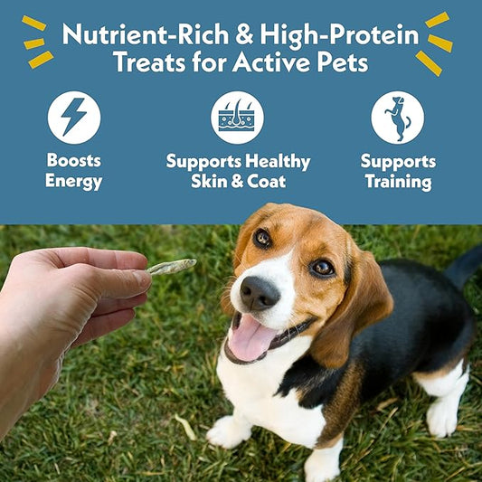 Fresh Is Best Silverside Minnows Freeze Dried Dog Treats – Raw Freeze Dried Cat Treats in Resealable Zipper Bag – High-Protein Minnows for Cats and Dogs – Made in the USA