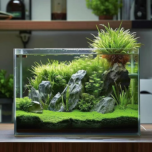 Vimvins 3 Gallon Glass Fish Tank, Easy to Maintain Small Aquarium for Betta/Goldfish/Snails/Shrimp and Aquatic Planting.