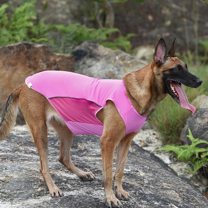 2 Pack UPF 50+ Sun Protection Sports Fan Pet T-Shirts, Quick-Dry Soft Clothes for Medium Large Dogs Girl, Tshirts with Reflective Strip Sleeveless Vest Pet Apparel P23ST00504XXXL