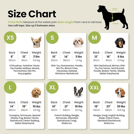 Fitwarm Birthday Boy Dog Shirt, Bir-Ruff-Day Boy Funny Dog Clothes for Small Dogs Boy, Pet Birthday Outfit, Cat Tshirt, 100% Breathable Cotton, Aqua Blue, XS