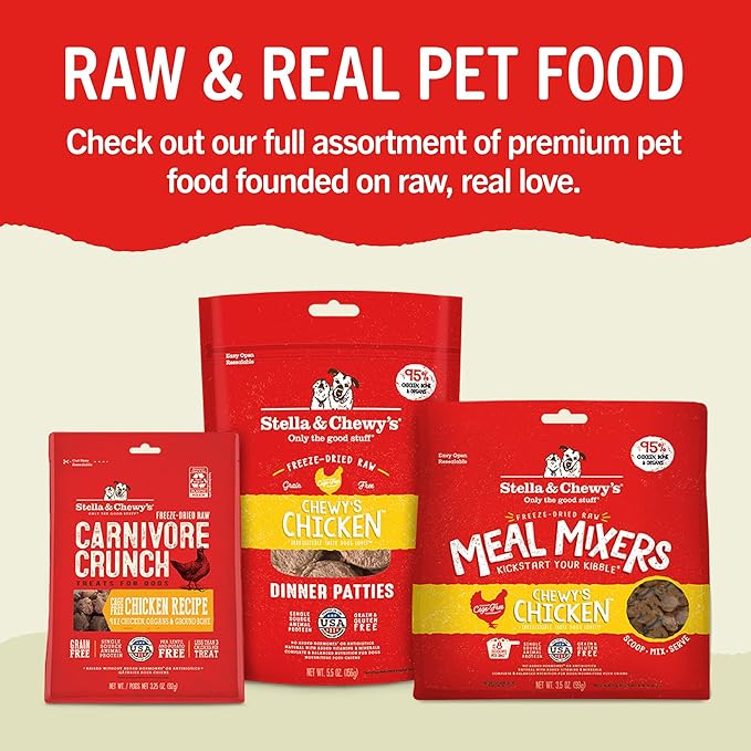 Stella & Chewy's Dental Delights with Freeze-Dried Chicken - Large Dental Treats for Dogs, Single Serve (Pack of 2)