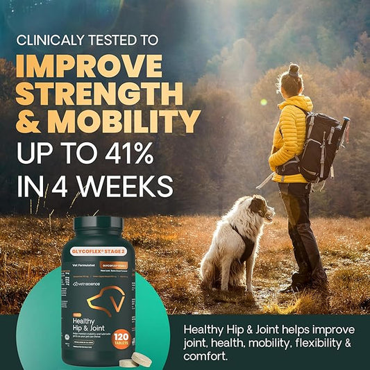VETRISCIENCE Glyco Flex® 2 Hip and Joint Supplement for Dogs, Chewable Tablets (2 pack)