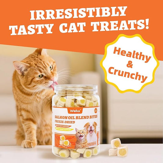 Wellix Freeze-Dried Treats for Dogs and Cats - Salmon Oil Cat Treats for Skin&Coat Health - Crunchy Healthy Kittens Snacks for Indoor Training - Chicken&Fish Oil Flavor 3.53oz
