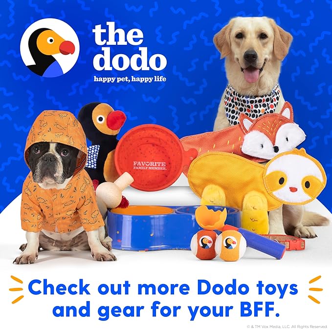 The Dodo Collapsible Dog Bowl, Yellow; Travel Dog Bowl That Folds Flat and Clips with Carabiner for Easy Storage and Carry
