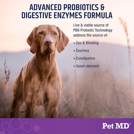 Pet MD Probiotics & Enzymes for Dogs - Gut Health Chews with Prebiotics - Digestive Aid for Dogs with Upset Stomach, Diarrhea, Constipation, or Gas - Functional Probiotics for Canines - 60 ct