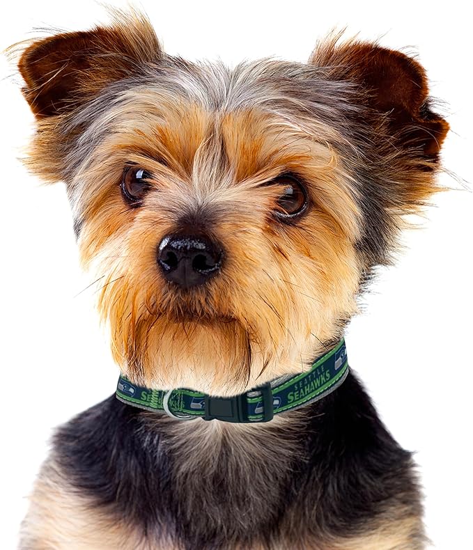 Pets First NFL Seattle Seahawks Licensed PET COLLAR, Small - Heavy-Duty, Strong, and Durable Dog Collar. Available in 31 Football Teams and 4 Sizes