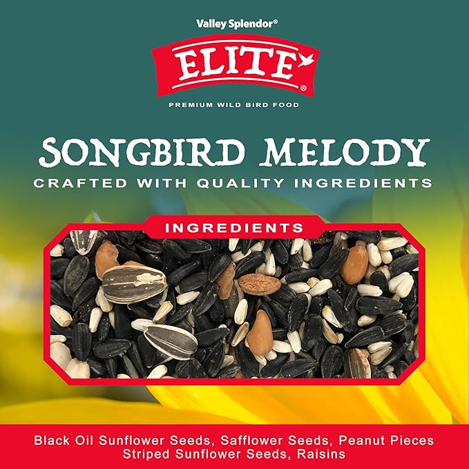 Songbird Melody