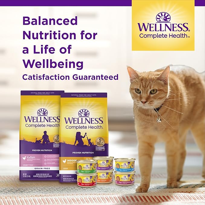 Wellness Complete Health Kitten Dry Cat Food, Natural, Wholesome Grains Kibble, Turkey, Turkey Meal and Chicken Recipe, 5 lb Bag