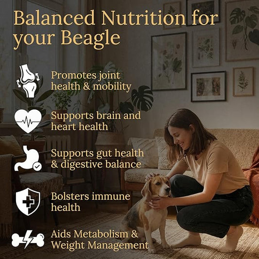 Beagle Multivitamins, 90 Count, Made in the USA with Real Bacon