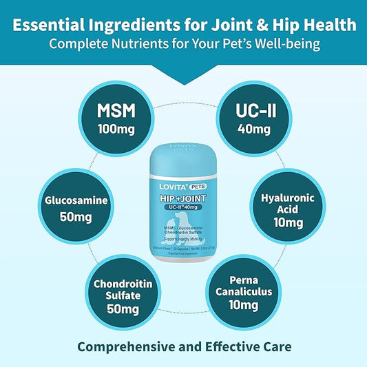 LOVITA Hip + Joint Supplement for Pets - Supports Mobility & Joint Health for Dogs & Cats - 60 Capsules, Chicken Flavor