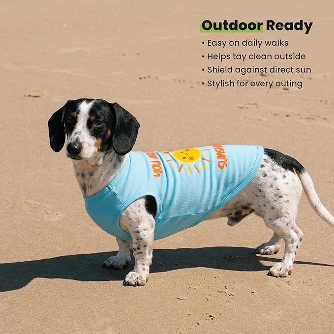 Fitwarm You are My Sunshine Dog Shirt, Tropical Summer Clothes for Small Dogs Boy Girl, Funny Pet Outfit, Blue, Yellow, Medium