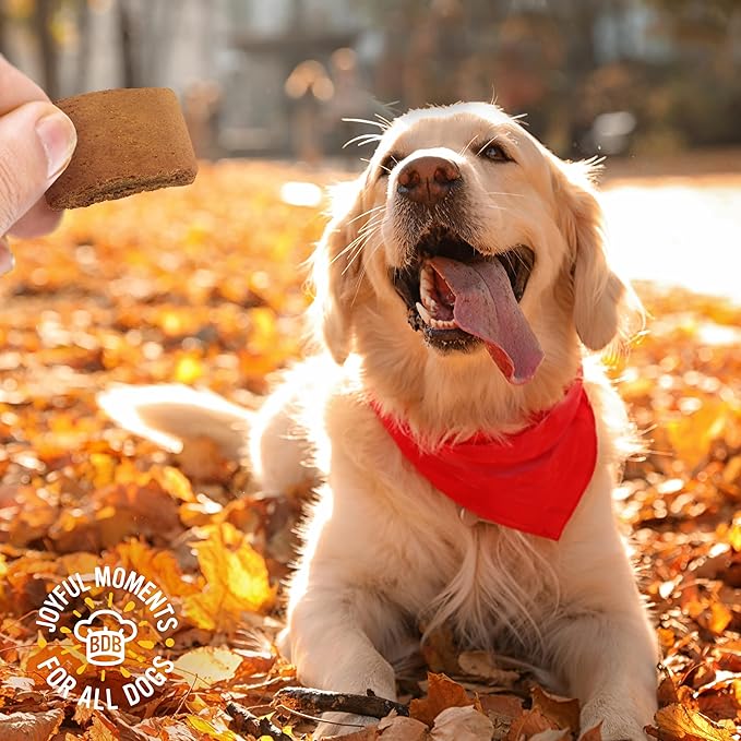 Blue Dog Bakery Pun'Kin Softies, Pumpkin Flavor, 10 Ounces