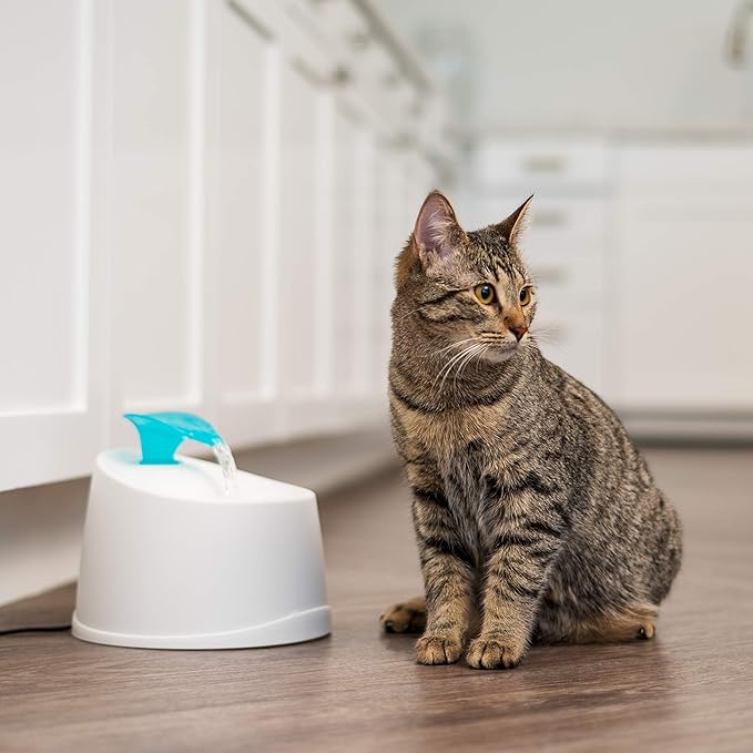 IRIS USA Open Top Cat Litter Box with Scoop and Scatter Shield, Black + 44oz / 1.3L Cat Water Fountain Bundle, Two Flow Options Silent Replaceable Charcoal Filter, White/Blue