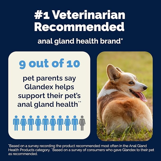 Vetnique Glandex Daily Probiotics for Dogs with Prebiotics to Support Gut Health, Diarrhea with Fiber and Digestive Enzymes, Dog Probiotic Powder (8.5oz Powder, Pork Powder)