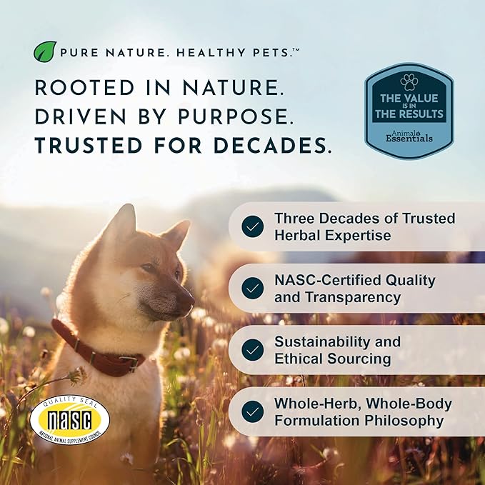 Animal Essentials Sea-Dent for Dog Teeth - Dental Powder for Dogs & Cats Teeth & Gums, Natural Oral Formula for Plaque & Tartar, Bad Breath Oral Freshener & Cleaner - 2.5 oz