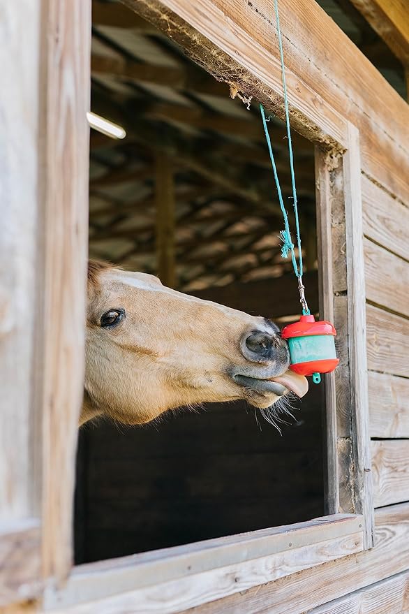 Jolly Pets Horsemen's Pride Treat Refill for Stall Snack Holder Apple (Pack of 4)