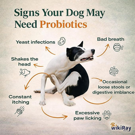 wikiRay Probiotics for Dogs – Soft Chews for Digestive Health & Immunity | 120 Chews | 3 Billion CFU, Pumpkin, Enzymes, Vitamins & Prebiotics | Made with Natural Ingredients