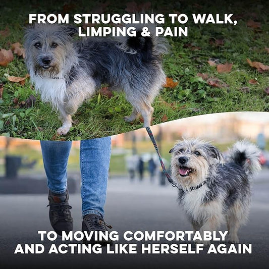 Walk-Easy Cat & Dog Pain Relief & Mobility Aid – Natural Hip & Joint Support for Injured or Senior Pets – Gentle Pain Reliever for Limping and ACL Tears – 400 Tiny Pills