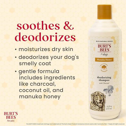Burt’s Bees for Pets Deodorizing Shampoo with Manuka Honey and Charcoal for Dogs - Naturally Derived Ingredients, 16 Fl Oz