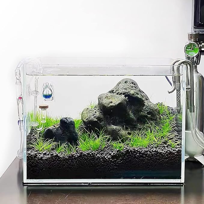 Allcolor Ultra Clear Rimless Aquarium Tank 6-60 gallons Low Iron Glass (6Gal)
