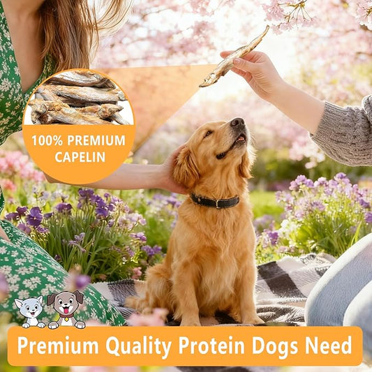 Freeze Dried Capelin with Roe Dogs Treats, Whole Fish for Dog & Cat - Single Ingredient, High Protein, Rich in Omega 3 for Skin & Coat Health, Grain-Free, Wild-Caught (6.4 oz)