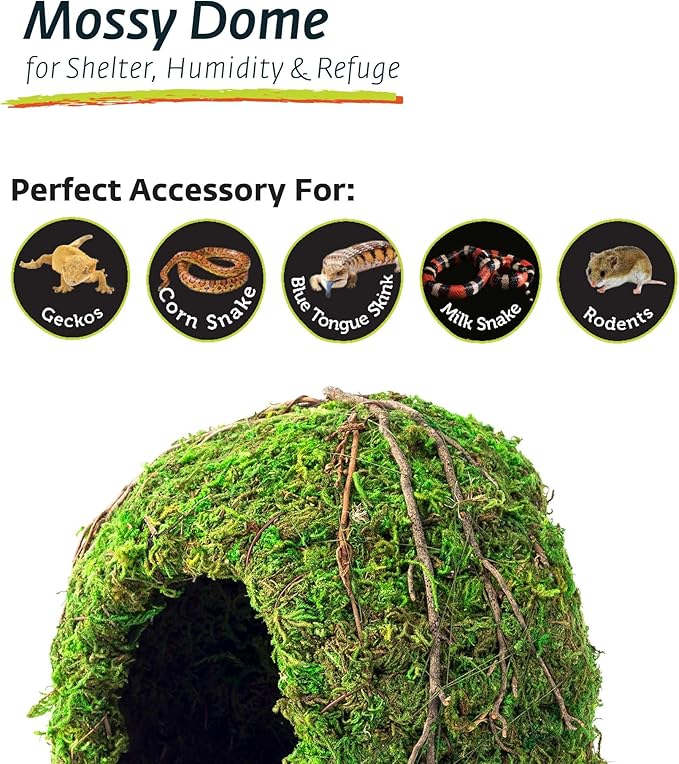 Galapagos (05366 Mossy Dome Hide, 6 in, Galápagos Green