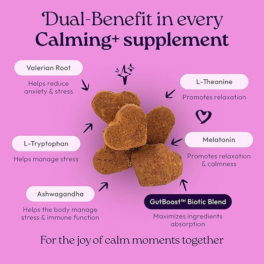 New! WellJoy Dog Supplement Calming+ GutBoost | Dog Health Supplement | Promotes Relaxation & Calmness | Dual-Benefit GutBoost Formulation | Vet Formulated | USA Made | Chicken Flavor | 90 Soft Chews