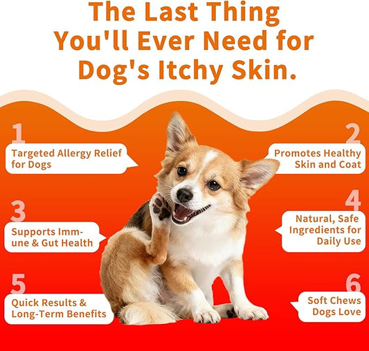 Dog Allergy & Itch Relief Chews - Salmon Oil Omega-3, Omega-6, Vitamin B1/B2/B6, Colostrum Probiotics Supplement for Seasonal Allergy, Hot Spots, Paw Licking, Scratching, 100 Soft Chews