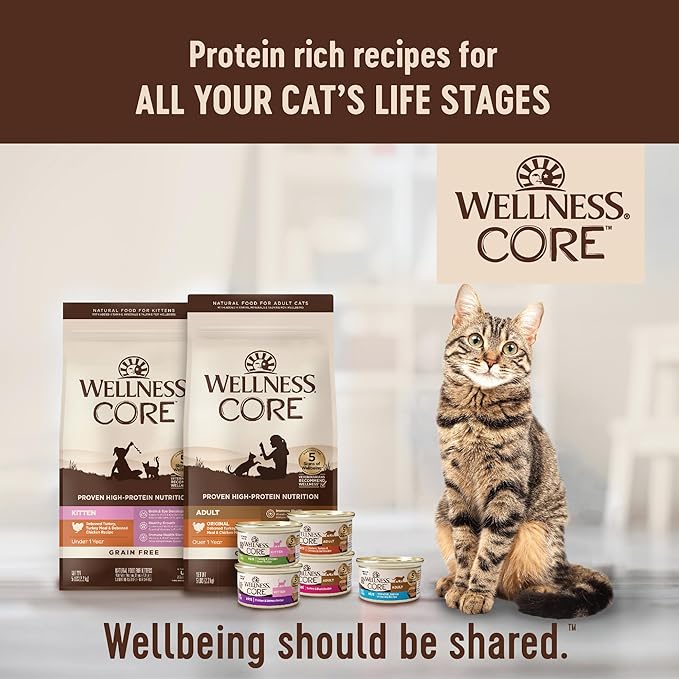 Wellness CORE Adult Dry Cat Food, Natural, Grain Free Kibble, Turkey, Turkey Meal and Duck Recipe, 5 lb Bag
