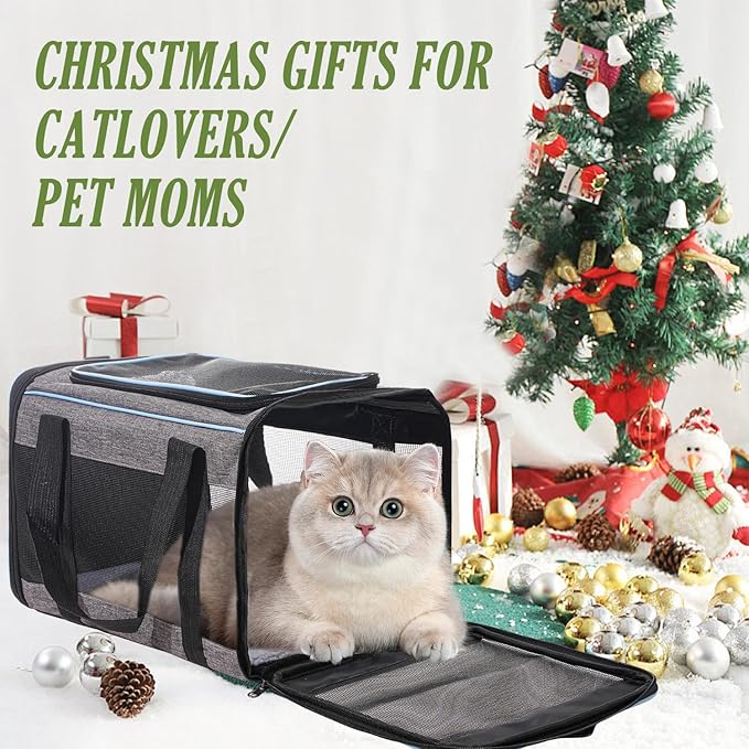 Vivicreate Cat Carrier Airline Approved, Soft Sided Pet Carrier for Small Medium Cats Dogs Puppies Up to 15 lbs, Collapsible Dog Carrier with Shoulder Strap, Waterproof Travel Carrier