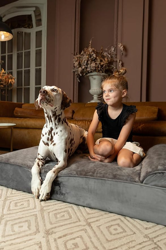NOAH & PAW XL Dog Bed, 45x35x9.1 Inch, Orthopedic Large Dog Beds, Eggshell Memory Foam Infused with Cooling Gel, Waterproof, Machine Washable, Includes Inner Cover (Velvet Collection)
