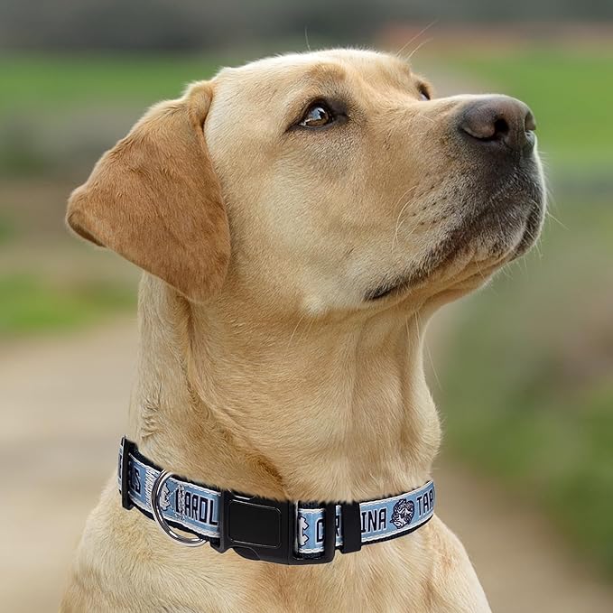 Pets First Collegiate PET Collar NEW VERSION Mississippi Ole Miss Rebels Dog Collar, Size Small. Best Sports Team Color for Dogs & Cats. A Shiny & Colorful Dog & Cat Collar Licensed by The NCAA
